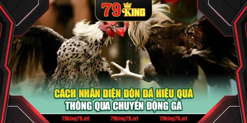 Cách nhận diện đòn đá hiệu quả thông qua chuyển động gà